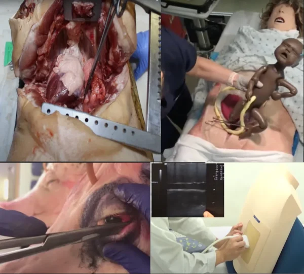 High Acuity, Low Occurrence (HALO) Procedures Course- 13th Jan 2026 - Image 3